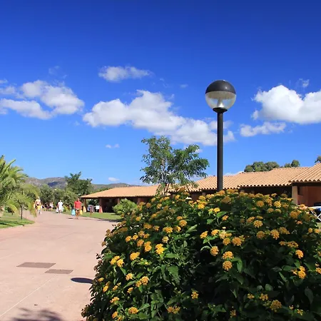 Rey Club مونتي ناي