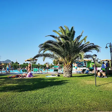 Rey Club مونتي ناي