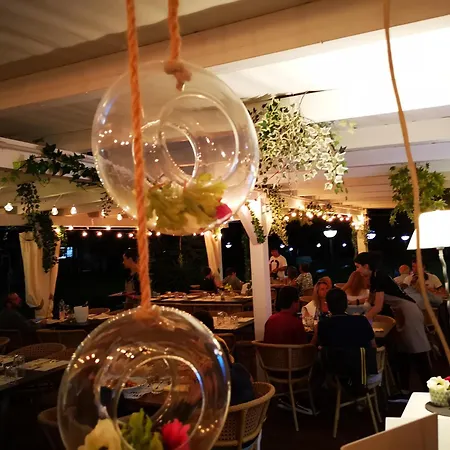 Rey Club مونتي ناي