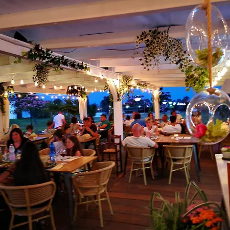 Rey Club مونتي ناي