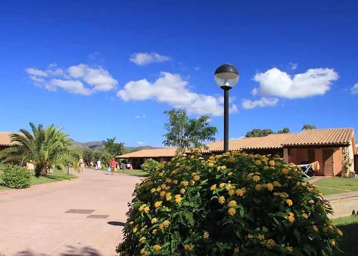 Rey Club 몬테나이