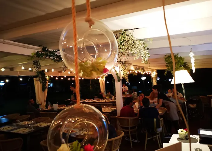 Rey Club 몬테나이